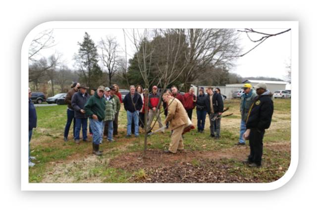 mike parker pruning