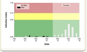 Strawberry tool graph 6