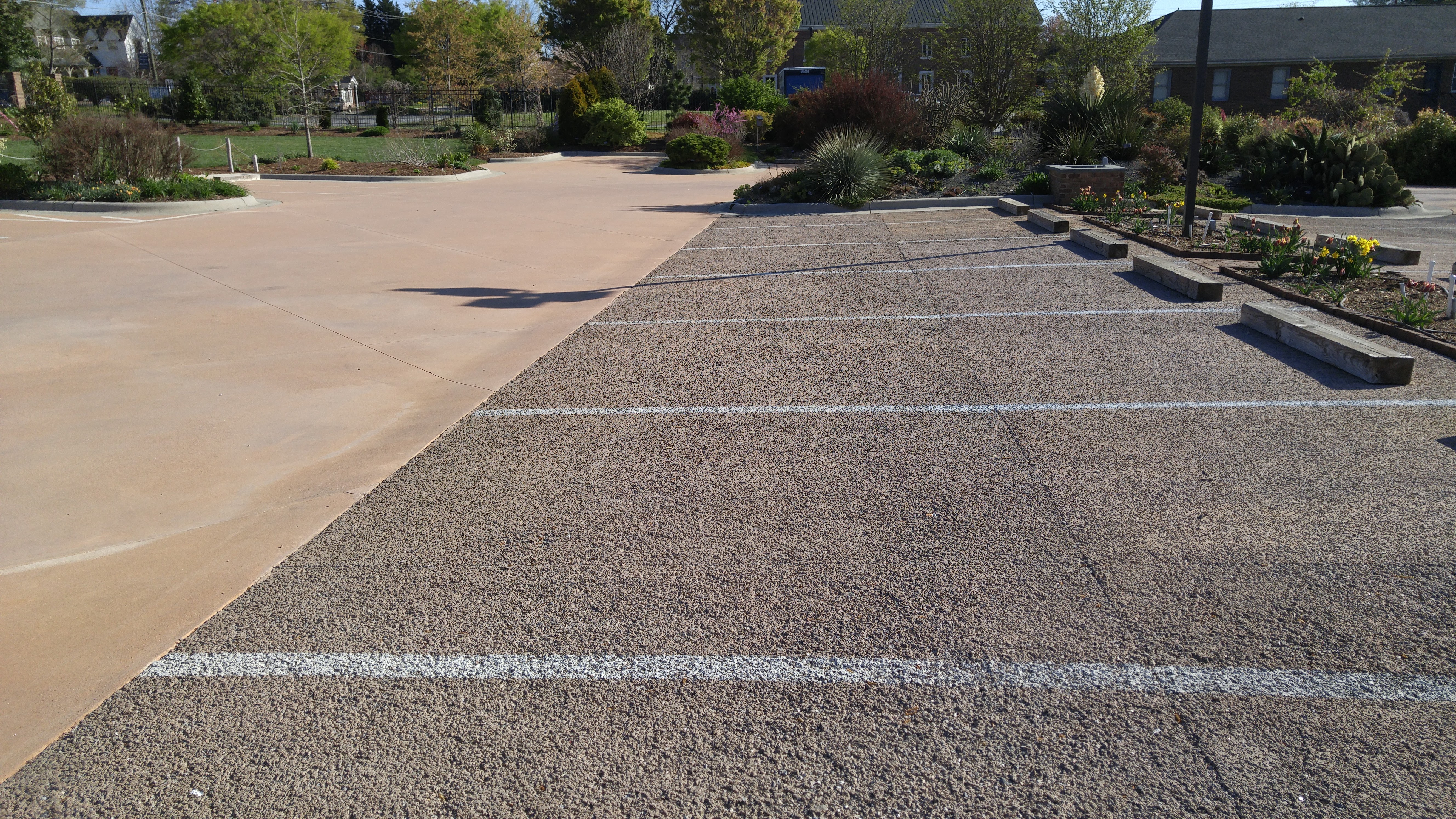 When you're visiting the lovely gardens at the Paul J. Ciener Botanical Gardens you may notice the parking spaces look different. That's because they are actually a pervious type of parking spot where rainwater can move through the pavement like a sieve. They can drink a lot of water!