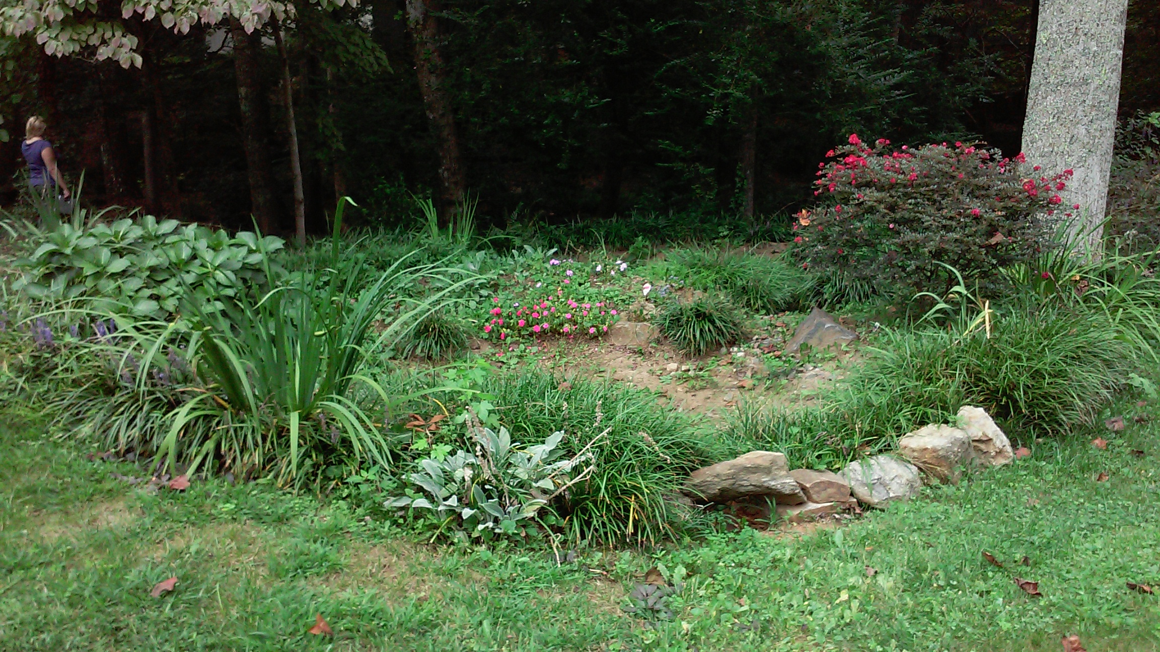 This homeowner had quite a bit of water flowing through their property. With the help of Forsyth Soil & Water Conservation District and Forsyth County Cooperative Extension, they were able to install a terraced rain garden to slow and spread out the flow while watering some cool plants!