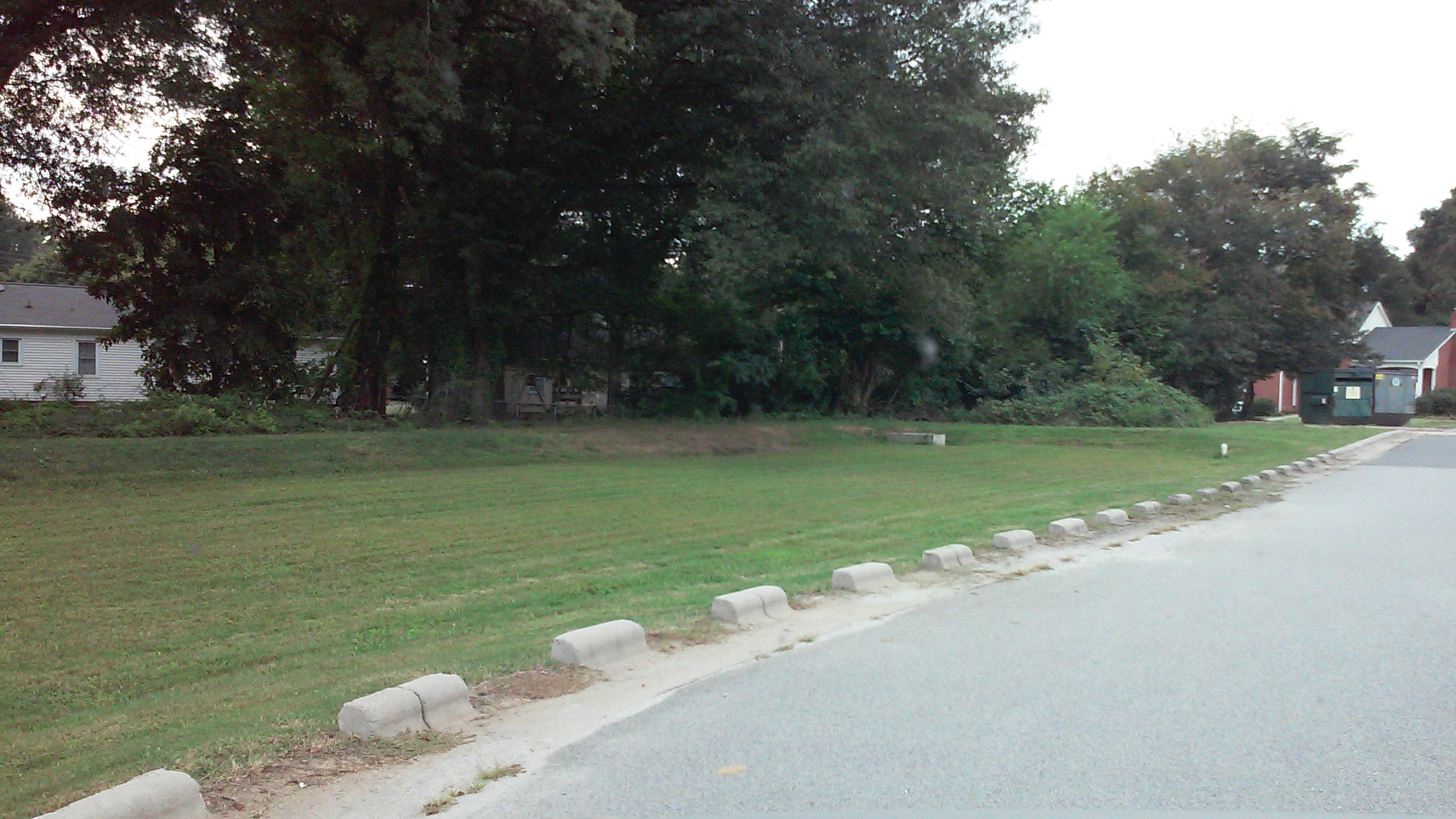 This grassed bioretention cell takes runoff via curb cuts from the Post Office parking lot.