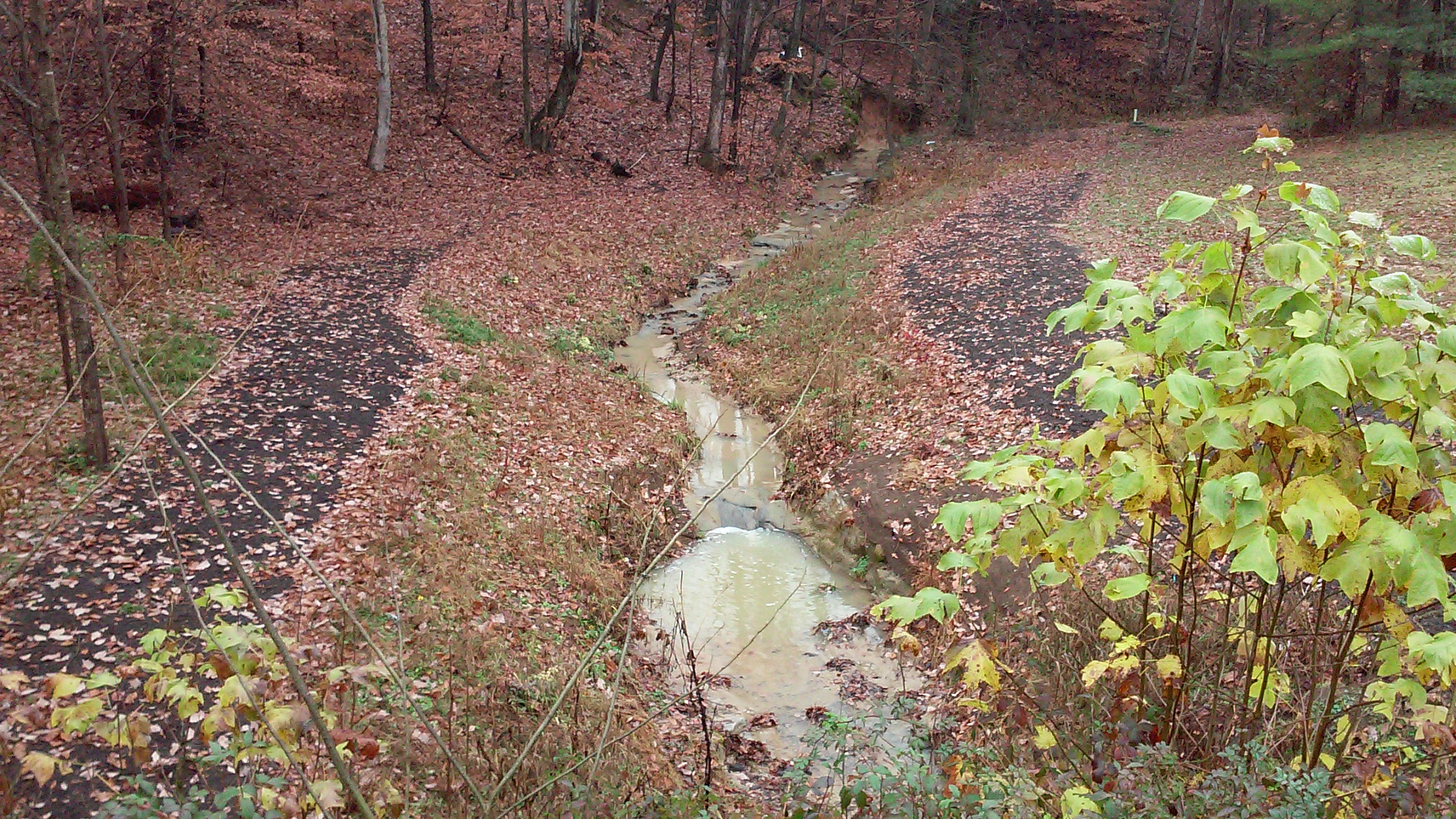 This stream used to have 4'-6' sheer banks. As of May 2015 the gentle slopes no longer erode. Watch for all the plants this Spring!