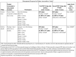 Management Programs for Palmer Amaranth in Cotton 2016