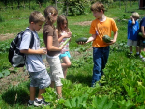 Kids picking vegetables