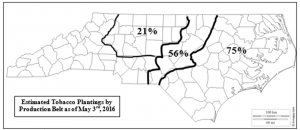 Figure 1. Estimated Tobacco Plantings by North Carolina Production Belt.