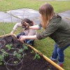 gardening