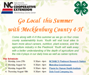 4-H Going Local Flyer Image
