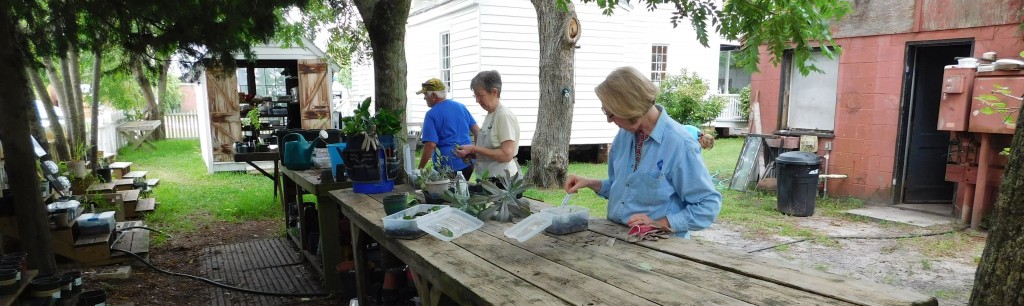 Extension Master Gardner Volunteers working together