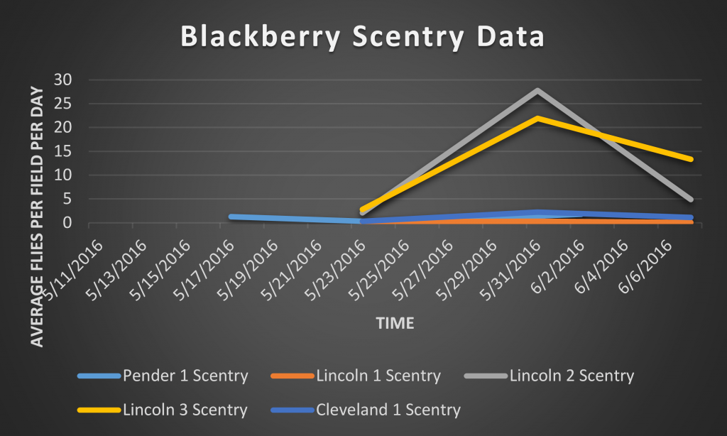 This is a graph depicting number of SWD captured on a total/SWD per day basis in Scentry bait traps.