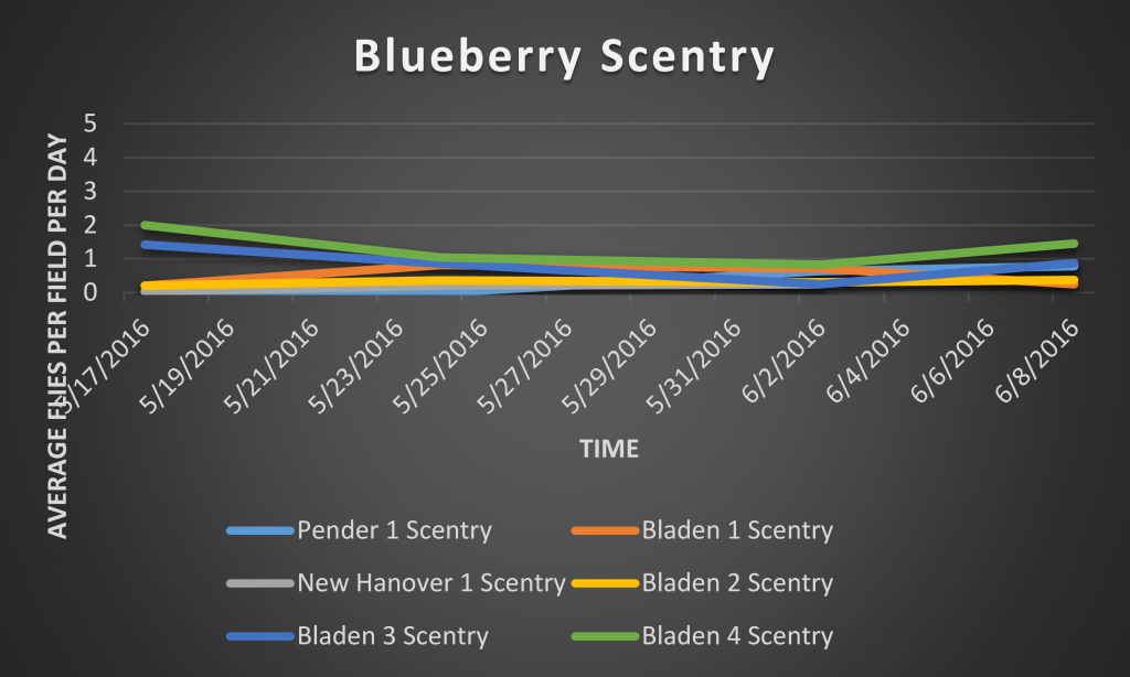 This is a graph depicting the number of SWD captured on a total/SWD per day basis caught in Scentry bait traps.