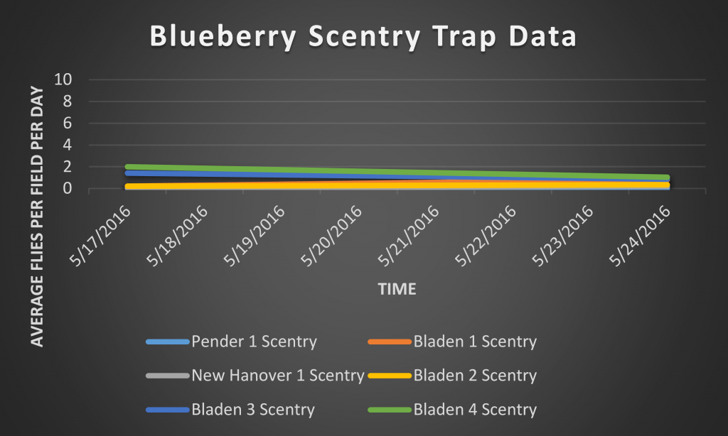 This graph shows the number of SWD caught in the Scentry bait traps from 5/17/2016 through 5/24/2016