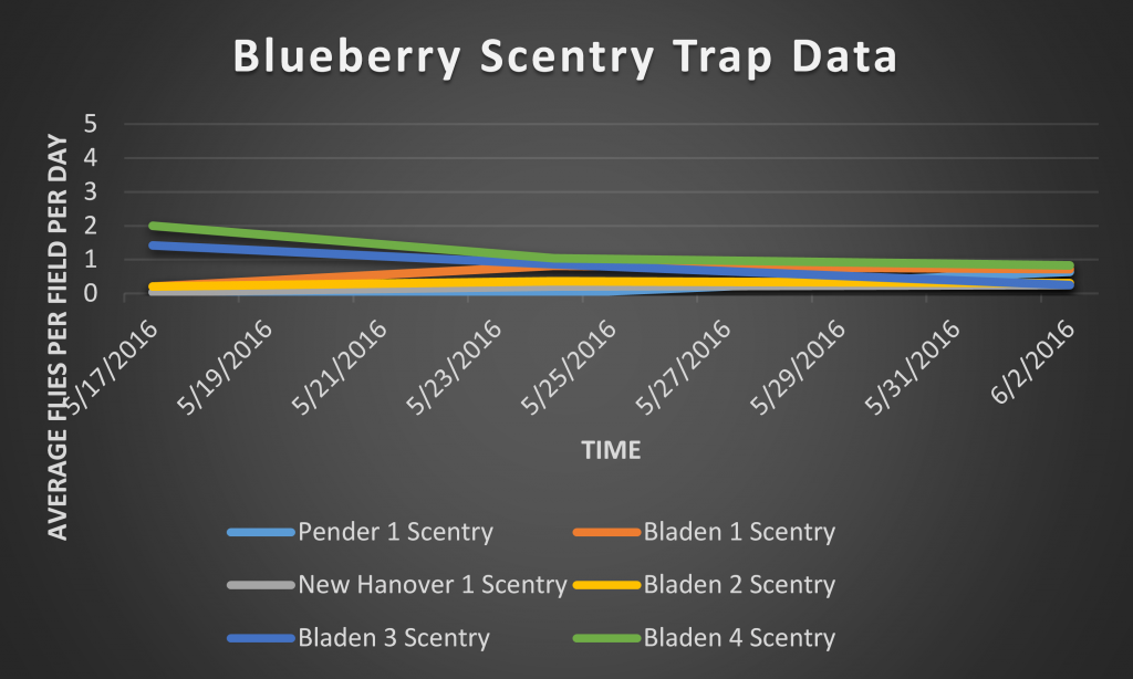 This is a graph depicting the number of SWD captured on a total/SWD per day basis caught in Scentry bait traps.