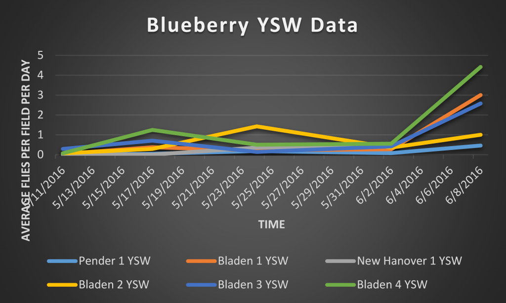 This is a graph depicting number of SWD captured on a total/SWD per day basis in YSW traps.