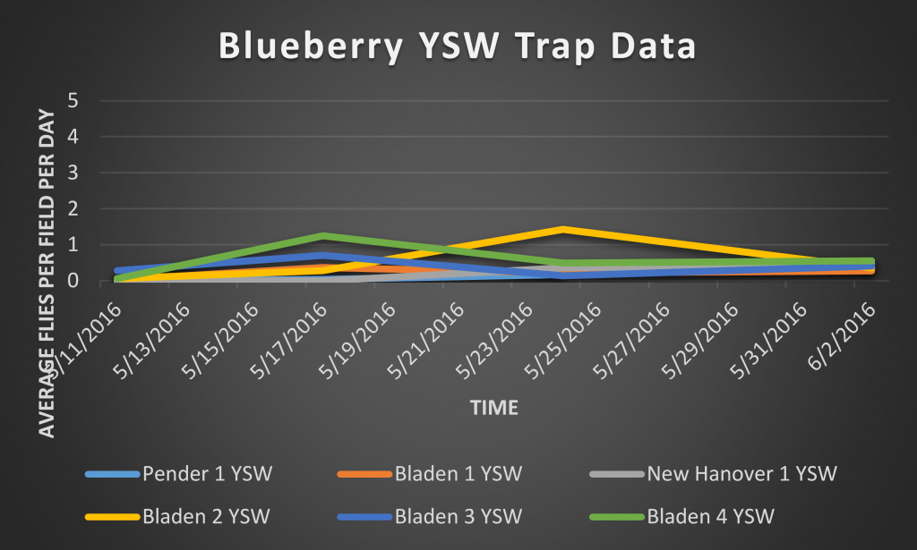 This is a graph depicting number of SWD captured on a total/SWD per day basis in YSW traps.