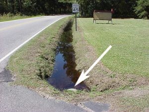 Drainage ditches clogged with storm debris collect and hold rainwater.