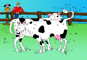 Cover photo for Shoo Fly, Don't Bother Me (Fly Control in Beef Cattle)