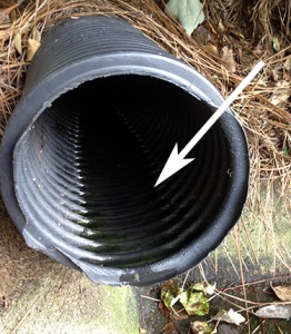 gutter drain pipes need to be directed down to drain properly