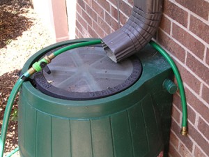 rain-barrel