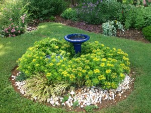 Small garden with birdbath and flowers