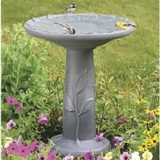 bird bath