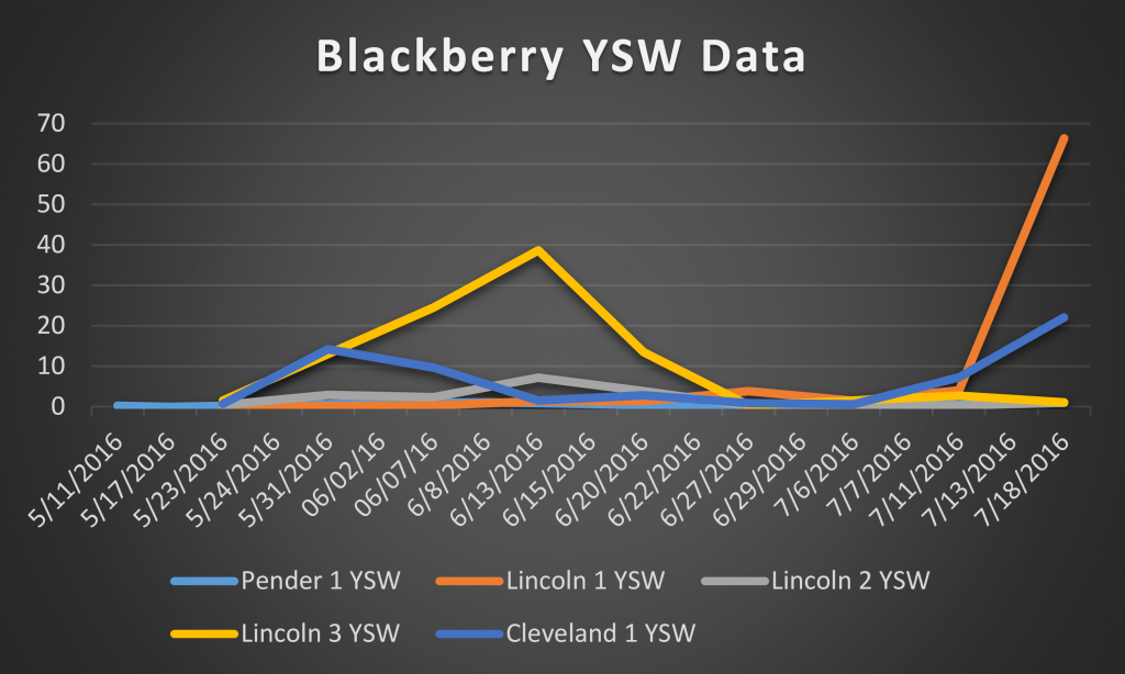 2016 blackberry ysw data