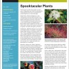 2016-Fall-Piedmont-Cover