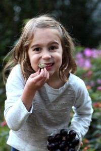 Cover photo for Fun With Muscadines for the Whole Family