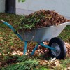 Wheelbarrow with leaves