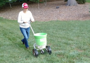 Woman spreading fertilizer.