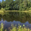 PR - Small Scale Pond Management