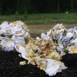 compost food plates