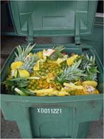 food-scraps-garbage