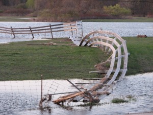 Photo taken by Larry Krause