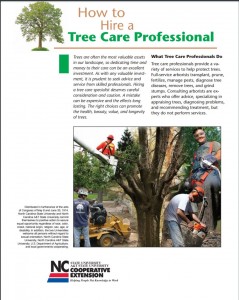 HireArborist