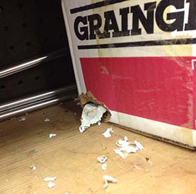 Mouse damage to box in storage
