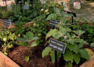 U.S. Department of Agriculture People’s Garden Initiative