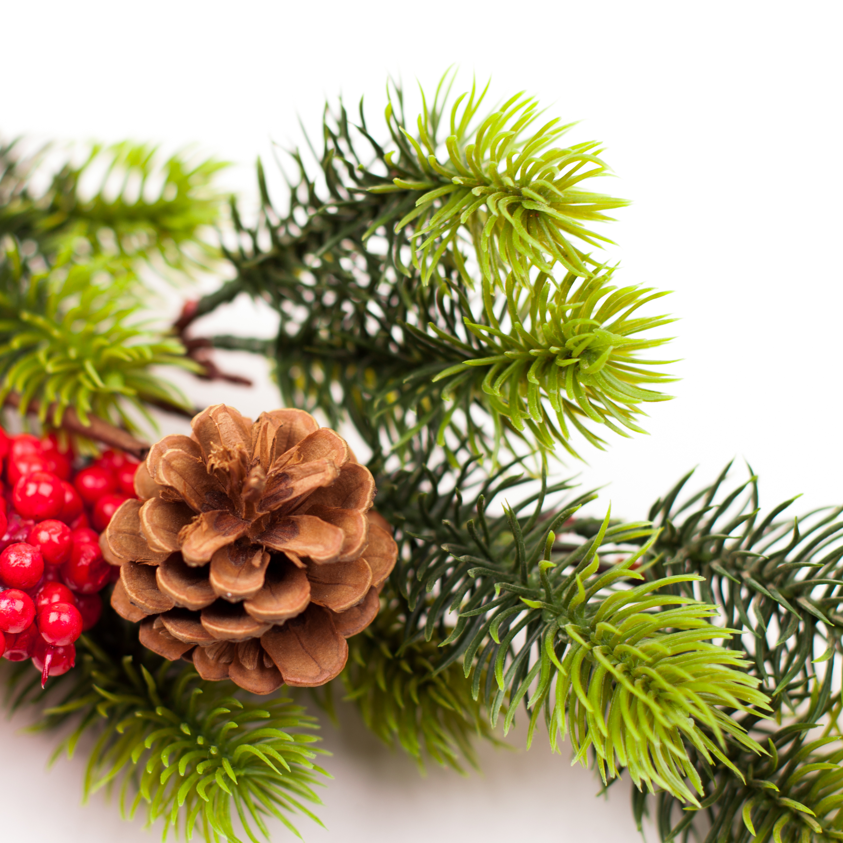 Christmas tree branches border over white