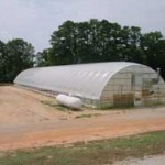 Greenhouse in eastern North Carolina