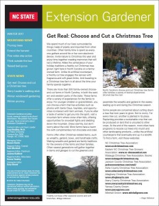 Cover Page of the Winter Mountain Edition of Extension Gardener Newsletter