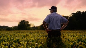 Cover photo for Essential Agricultural Employee Waiver