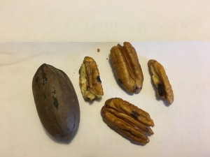 pecans