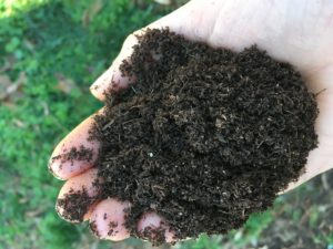 compost