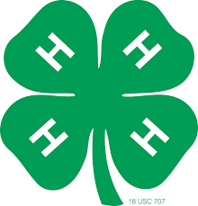 Cover photo for 4-H and Schools, the Partnership Continues
