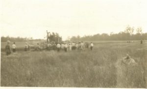 1929 combine harvesting wheat