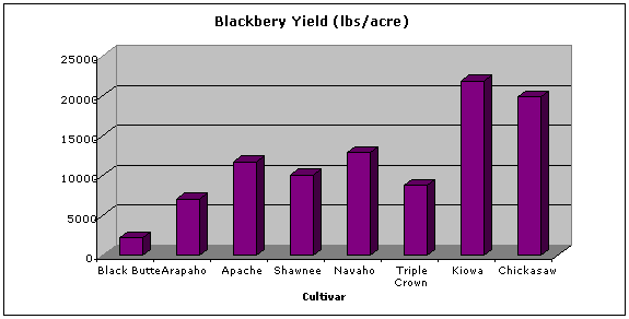 Blackberry Ripening Chart