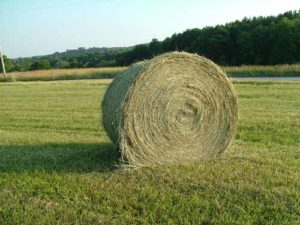 Cover photo for 2020 Hay Directory *Updated 2.13.20