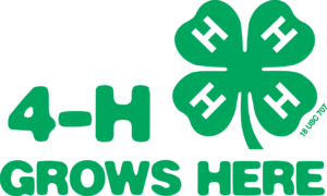 Cover photo for Clovers All Over:  What Are the 4 H's Anyway?