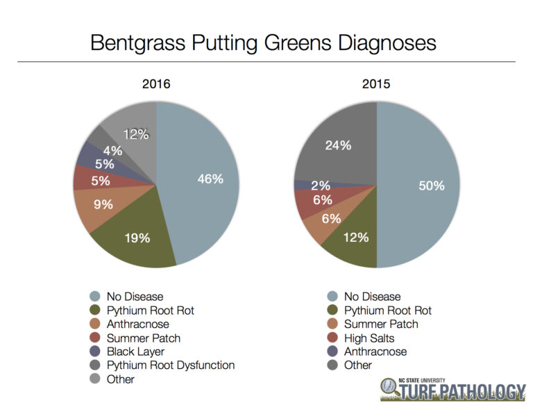 two pie charts showing 2016 and 2015 bentgrass putting green diagnoses