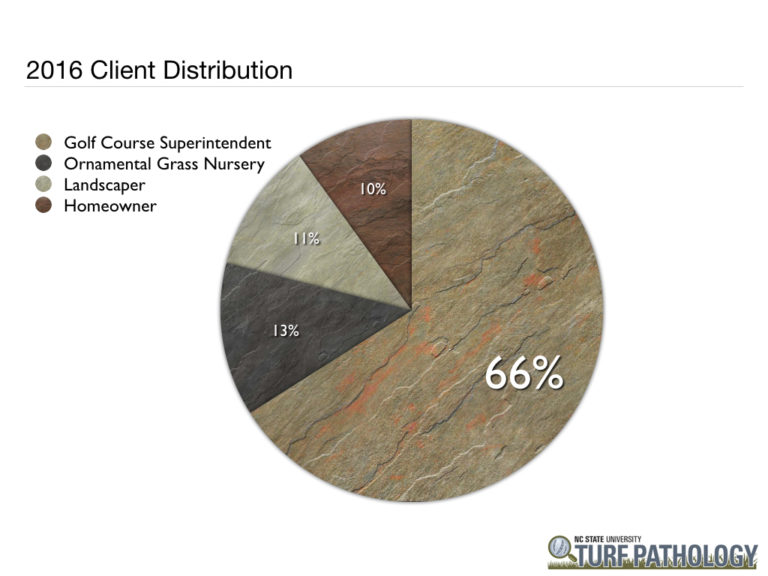 pie chart showing 2016 client distribution