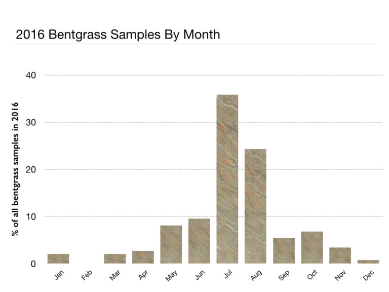 2016 bentgrass samples by month (bar chart)
